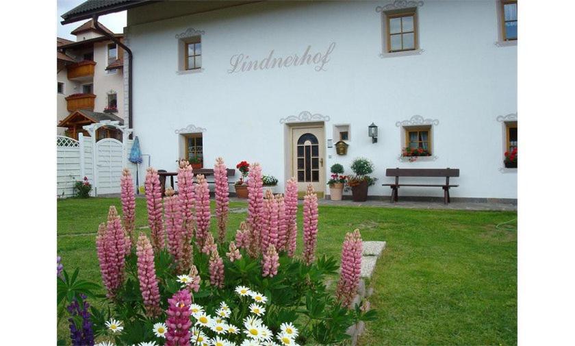Hotel Lindnerhof Urlaub Am Bauernhof San Lorenzo di Sebato Exteriér fotografie
